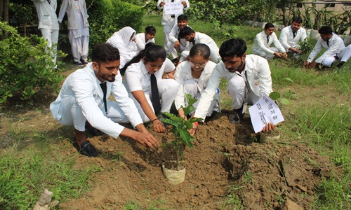 वृक्ष आरोपण